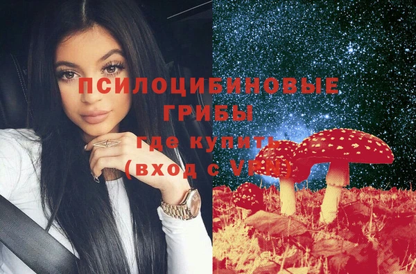 спайс Баксан