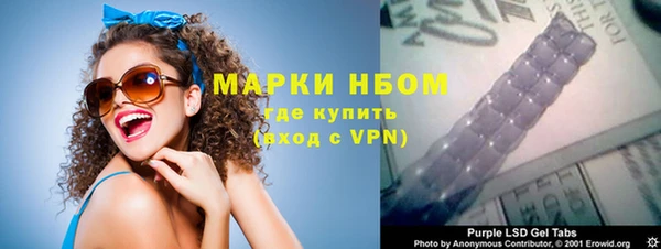 сатива Каменногорск