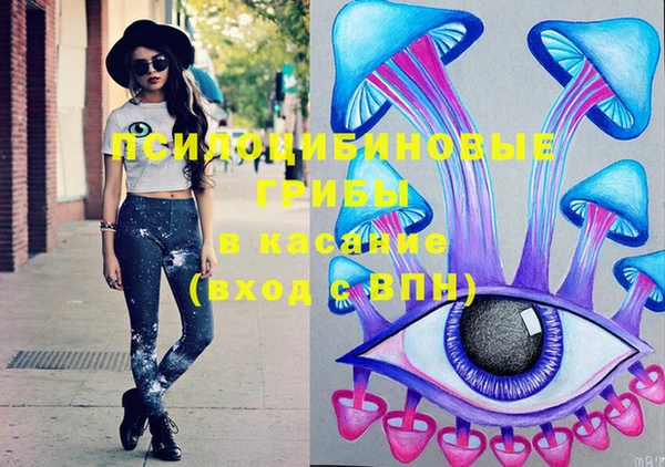 спайс Баксан