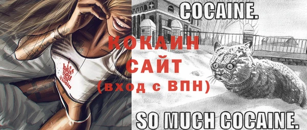 спайс Баксан