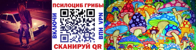 Купить  Мышкин  Галлюциногенные грибы Magic Shrooms 